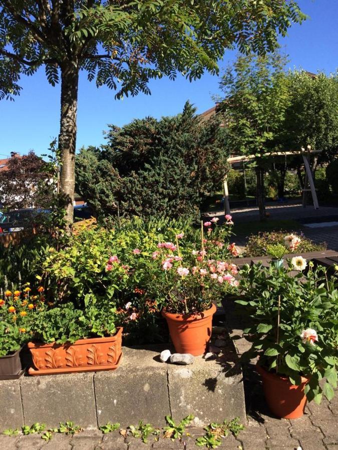 Silberdistel Sonthofen Lejlighed Eksteriør billede